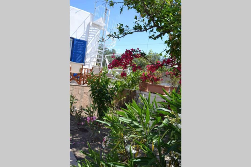 Appartement Aegina House Extérieur photo