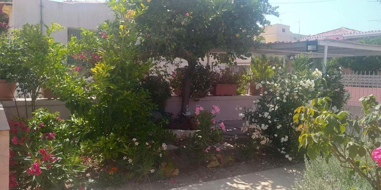 Appartement Aegina House Extérieur photo